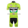 2012 Team FARNESE vini ITALIA Cycling Kit Green