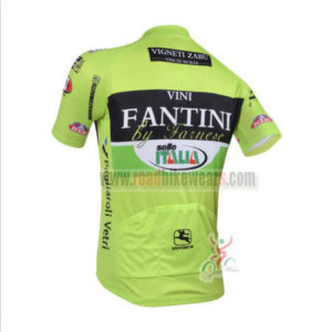 2013 Team VINI FANTINI Riding Jersey
