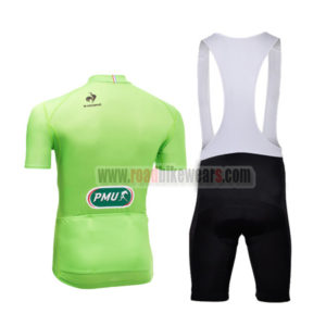 2013 Tour de France Bike Green Jersey Bib Kit