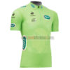 2013 Tour de France Cycling Green Jersey