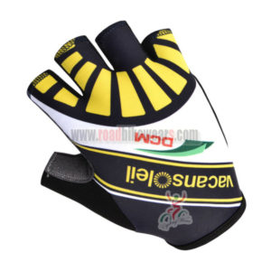 2014 Team VACANSOLEIL Cycling Gloves