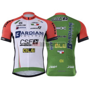 2017 Team BARDIANI CSF QLE Bicycle Jersey Maillot Shirt White Red Green