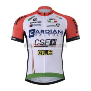 2017 Team BARDIANI CSF QLE Cycling Jersey Maillot Shirt White Red Green