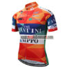 2018 Team VINI FANTINI NIPPO Cycling Jersey Shirt Colorful2018 Team VINI FANTINI NIPPO Cycling Jersey Shirt Colorful