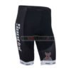 2013 Team SANTINI Cycling Shorts
